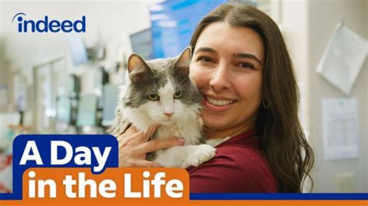 What is a typical day in the life of a veterinarian?