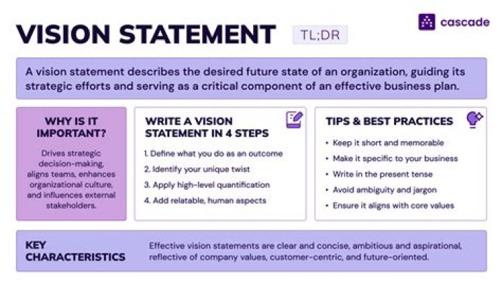 What is a vision statement of an organization?