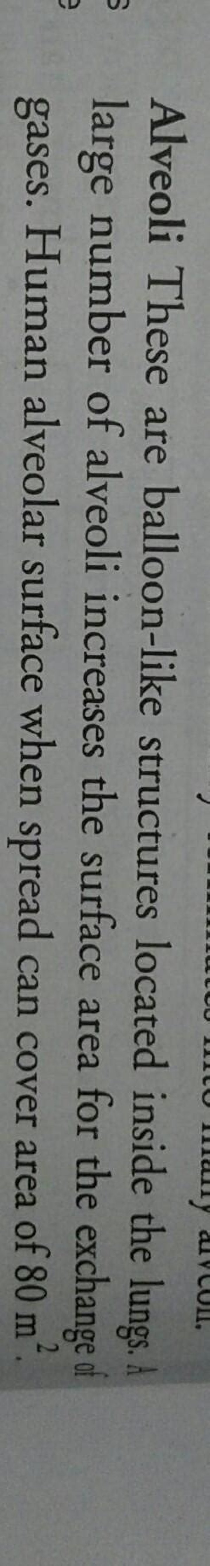 What is alveoli write its function?