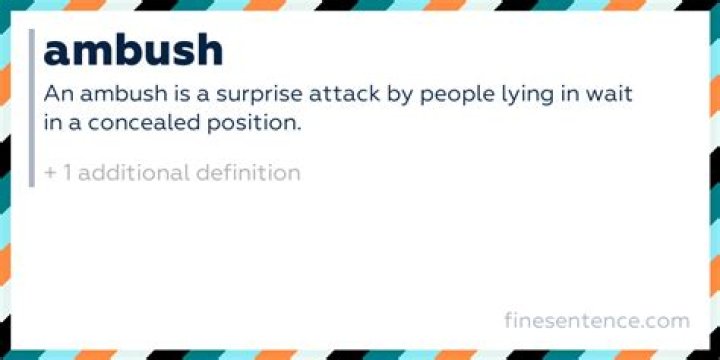 What is Ambush definition?