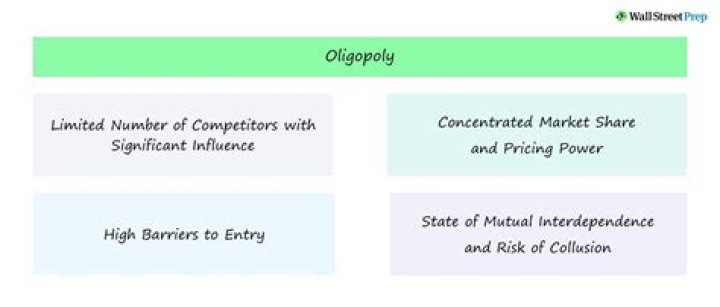What is an oligopoly and what effect did they have on business?