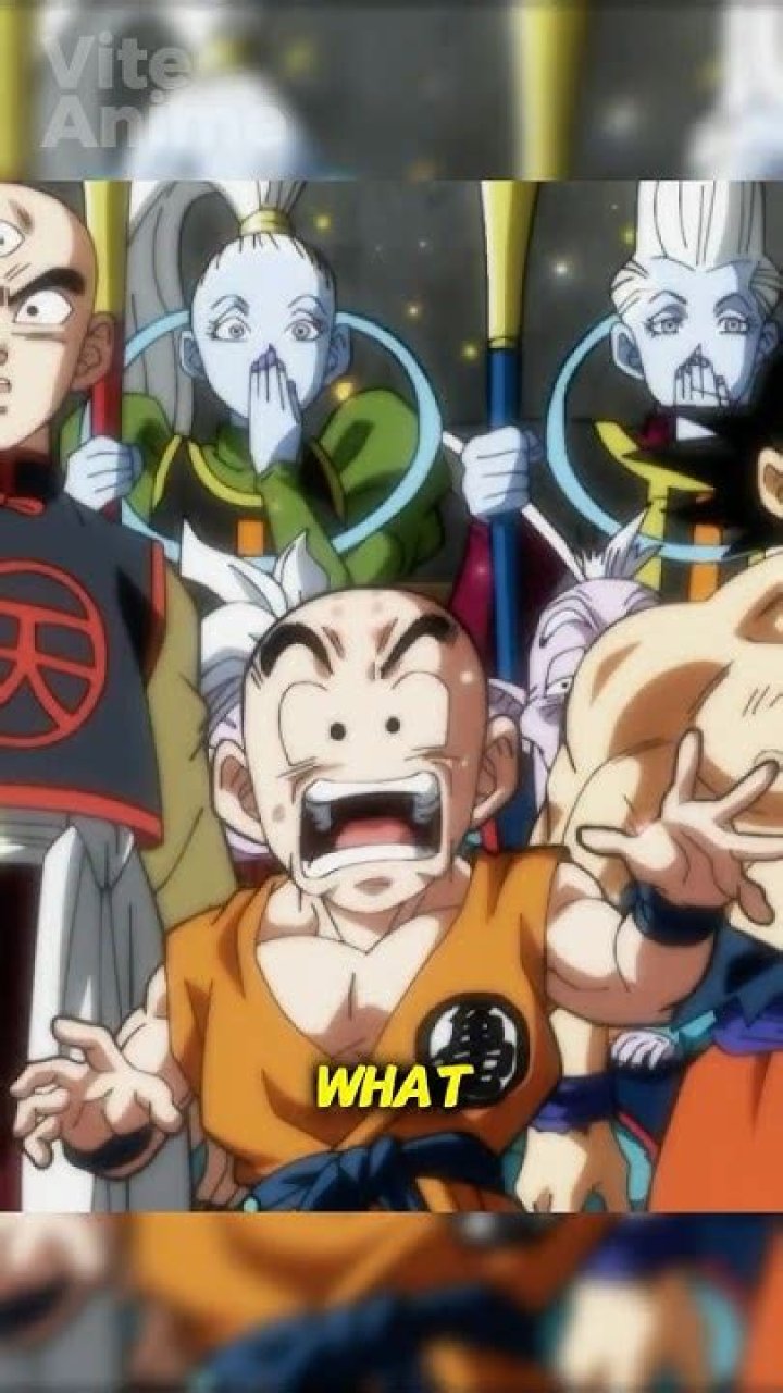 What is Android 17s wish?