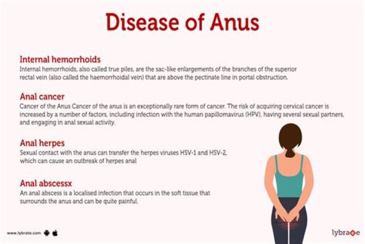 What is anus?