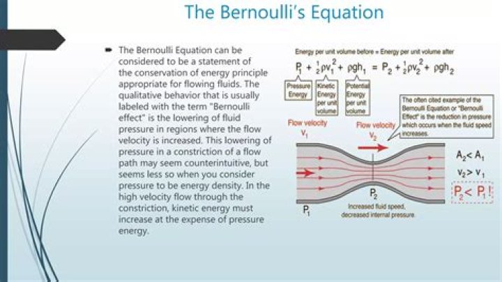 What is Bernoulli known for?