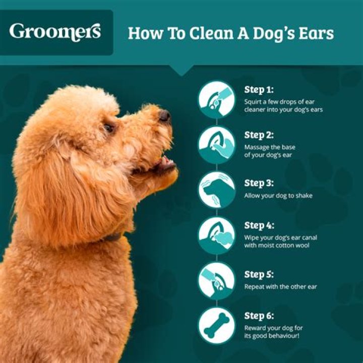 What is best for cleaning dogs ears?
