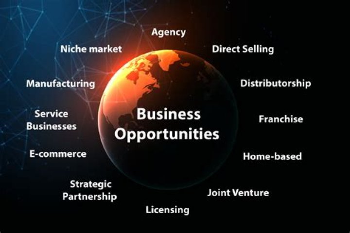 What is business opportunities in business studies?