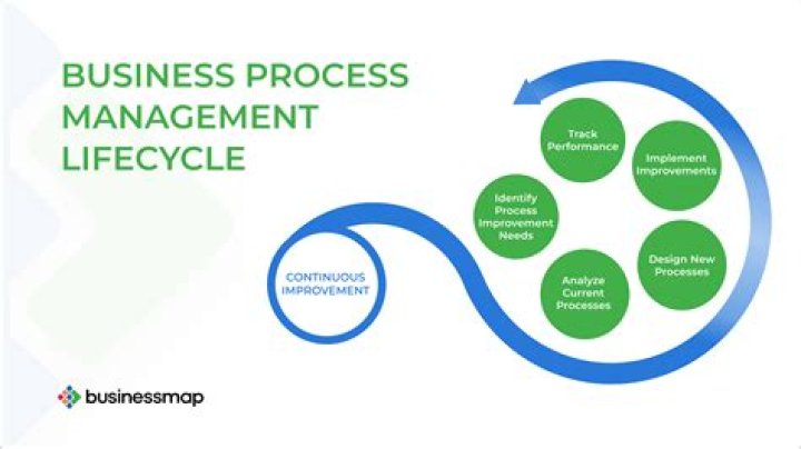 What is Business Process Management article?