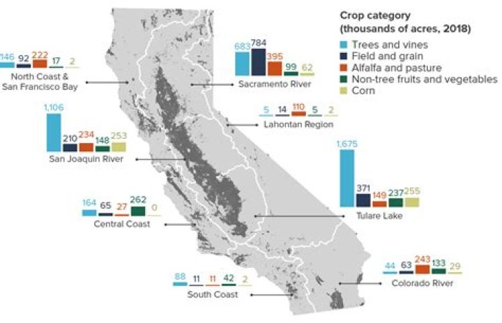 What is California's largest crop?