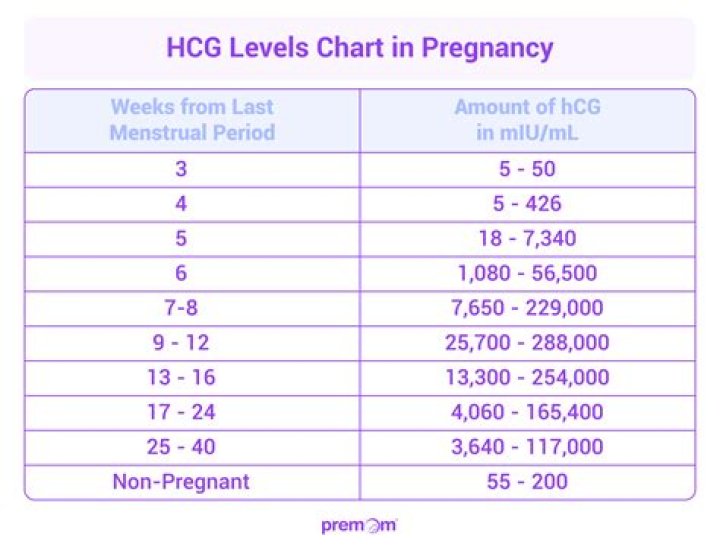 What is considered a high hCG level at 5 weeks?