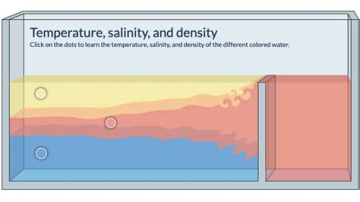 What is determined by salinity and temperature?
