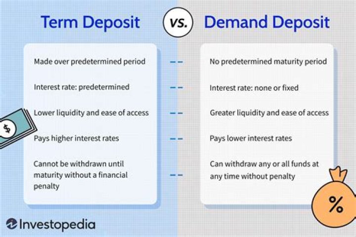 What is difference between demand and term loan?