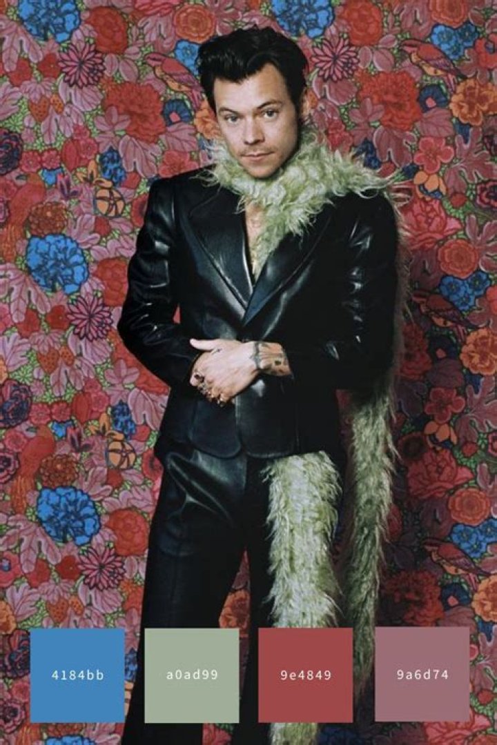 What is Harry Styles favorite color?