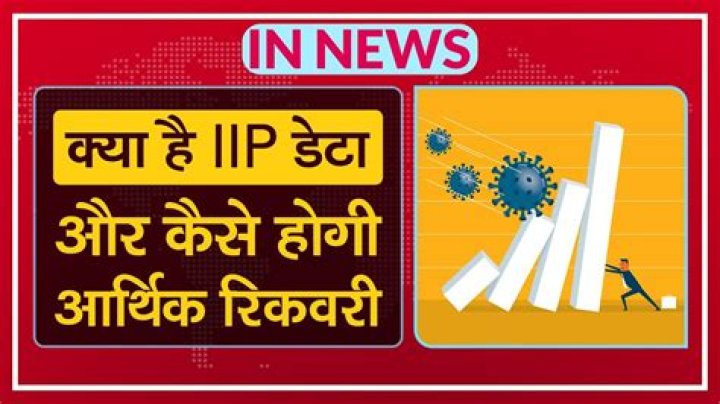 What is IIP data?