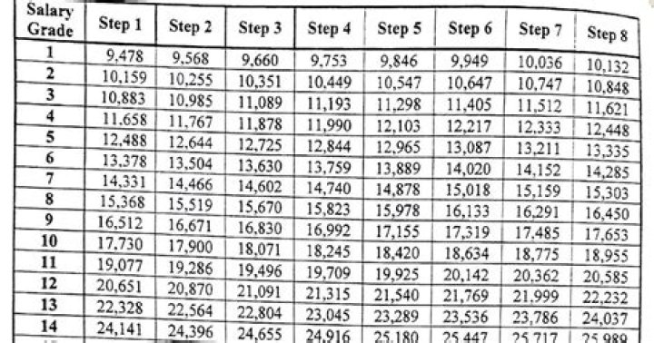 What is IRDA salary?