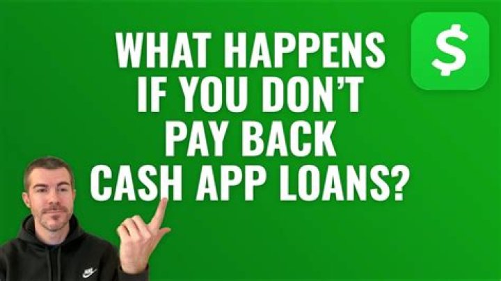 What is it called when you dont pay back a loan?