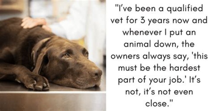 What is it called when you put an animal down?