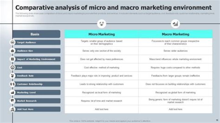 What is macro and micro environment in marketing?