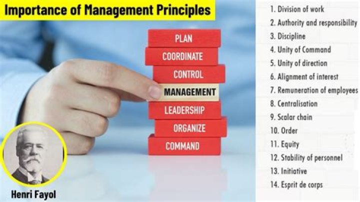 What is management in principles of management?