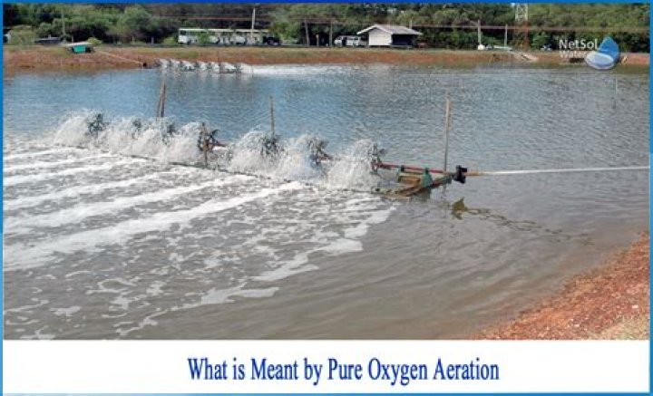 What is meant by Aquatic microbiology?