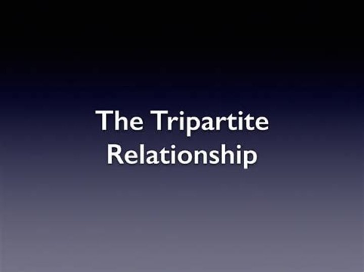 What is meant by tripartite relationship?