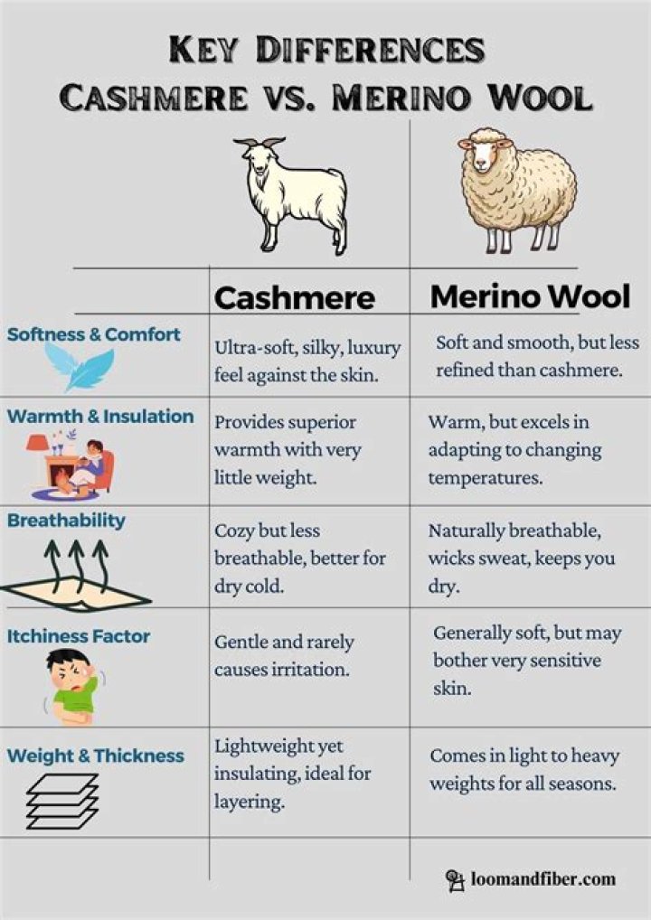 What is merino wool vs wool?