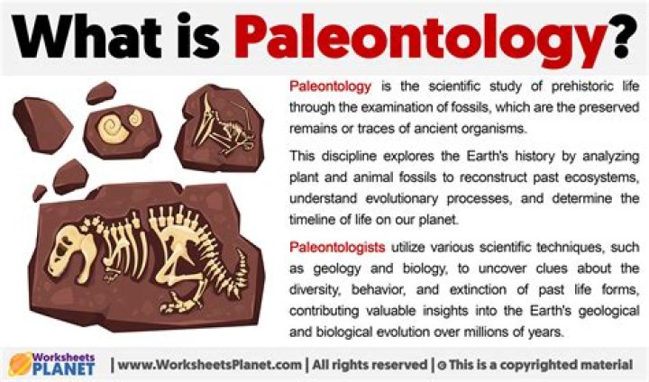 What is modern paleontology?