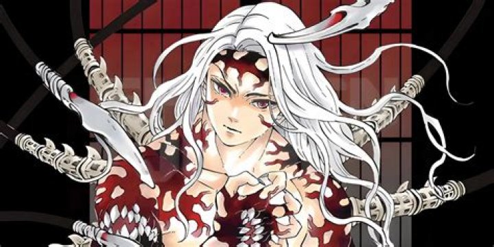 What is Natsu's final form?