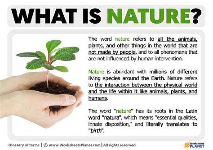 What is nature and aims of business?