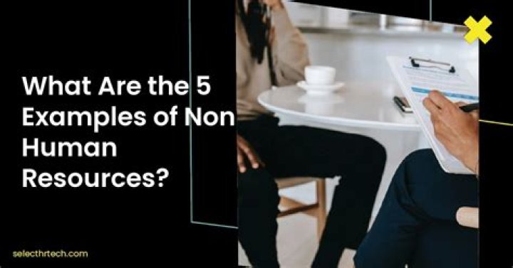 What is non human resources and examples?