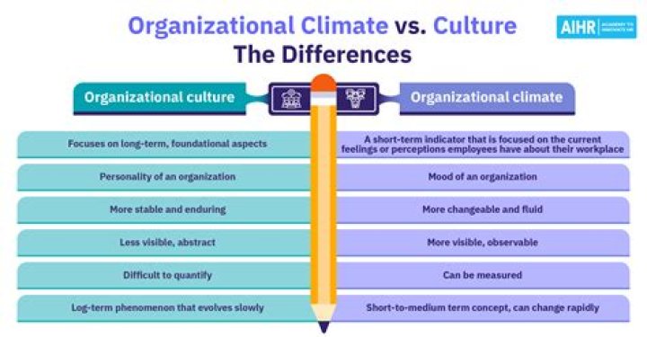 What is organizational culture answer?