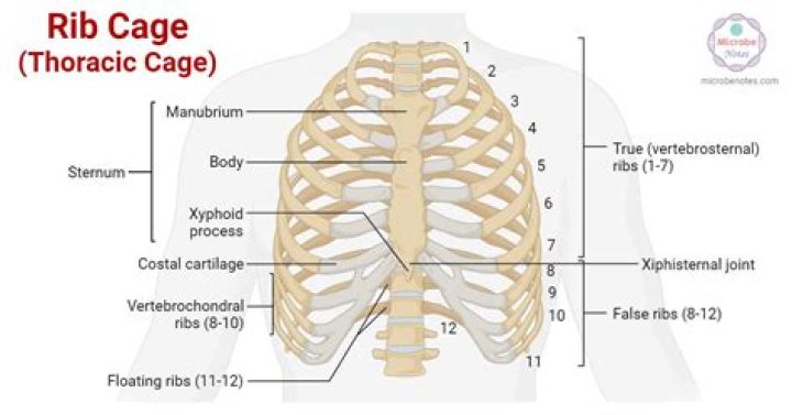 What is pain right below the rib cage?