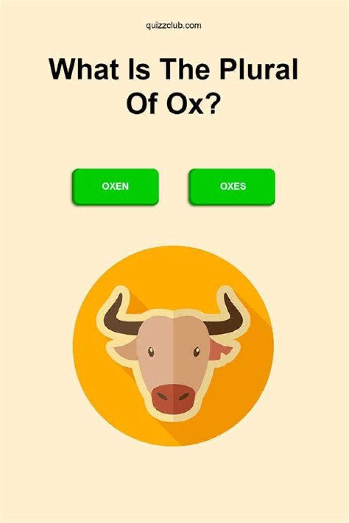 What is plural of ox?