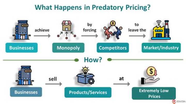 What is predatory pricing examples?