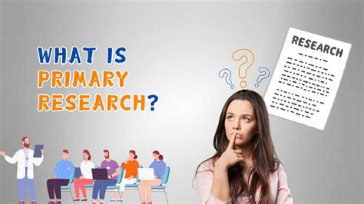 What is primary research easy definition?