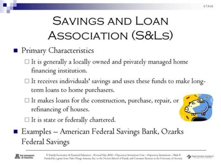 What is savings and loan associations in economics?