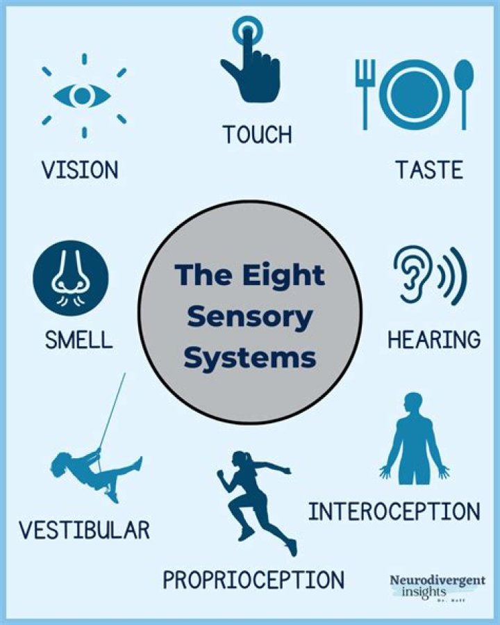 What is sensory stimuli in marketing?