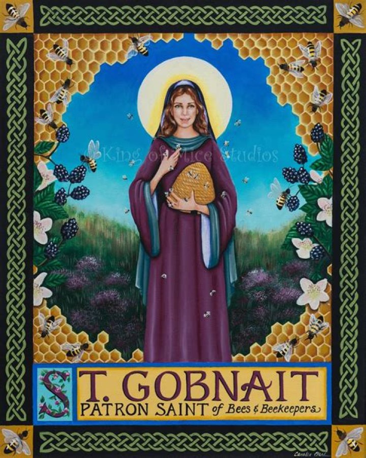 What is St Gobnait the patron saint of?