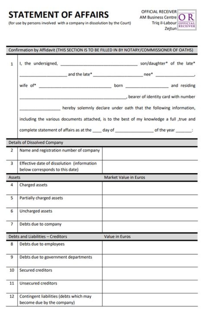 What is statement of affairs for individual?