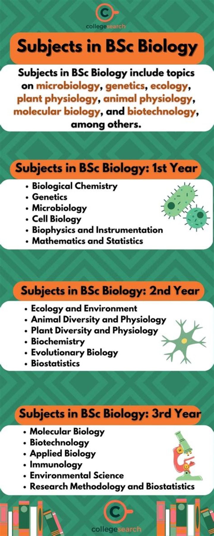 What is the best option after BSc biology?