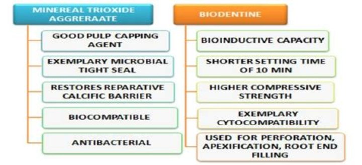 What is the composition of mineral trioxide aggregate?