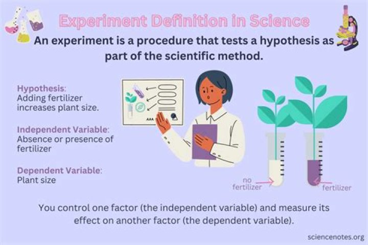 What is the definition of front in science?
