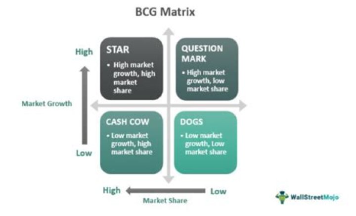 What is the difference between BCG matrix and PLC?