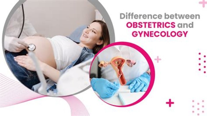 What is the difference between obstetric and gynecology?