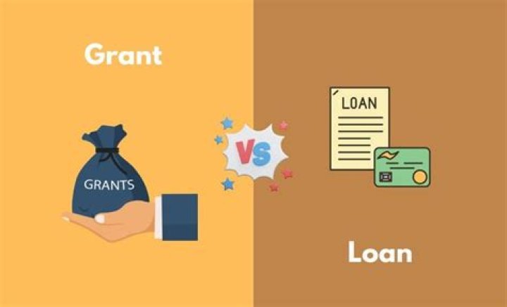 What is the different between grant and loan?