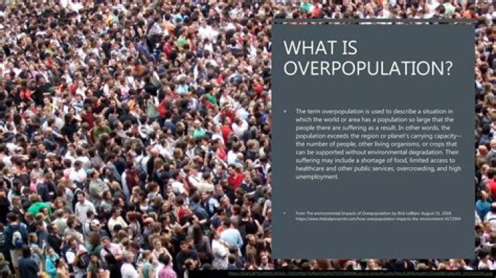 What is the effect of overpopulation on unemployment?