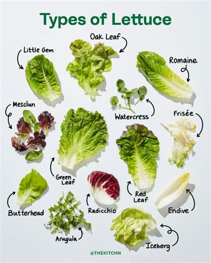 What is the fear of lettuce called?