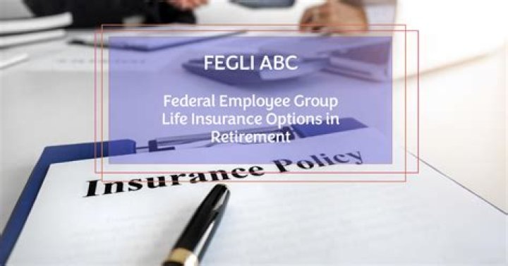 What is the Federal Employees Group life insurance Program?