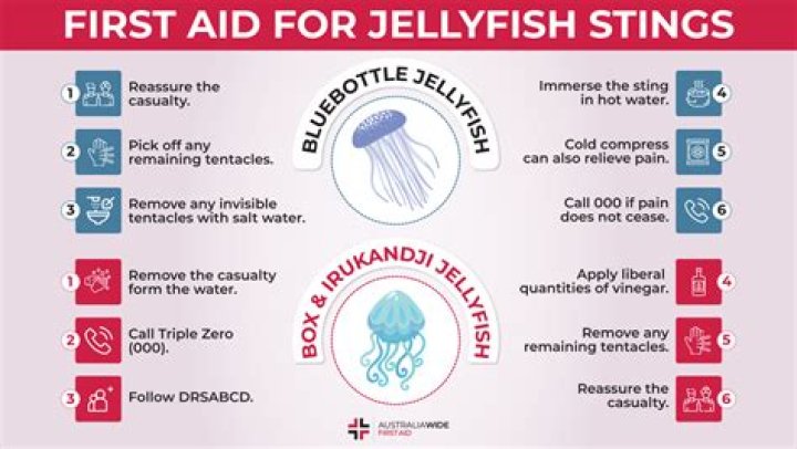 What is the first aid for a jellyfish sting?
