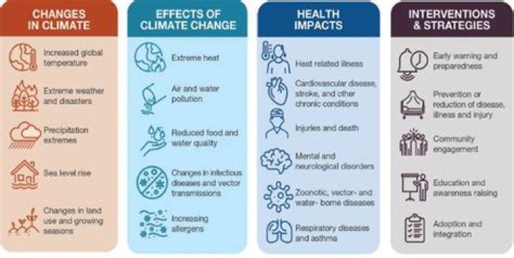 What is the impact of ecology?