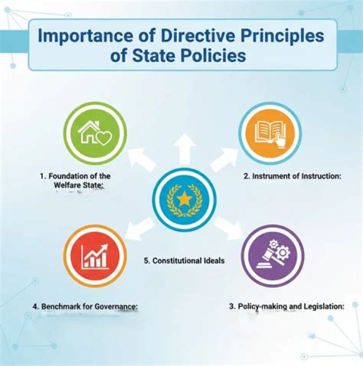 What is the importance of directive principles of state policy?